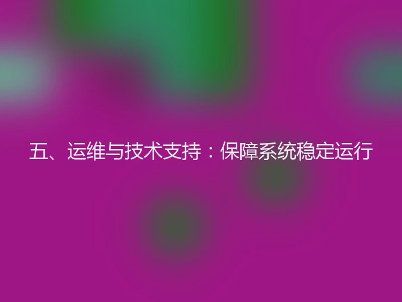 五、运维与技术支持：保障系统稳定运行