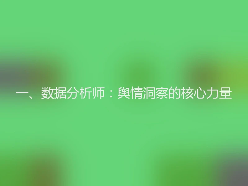 一、数据分析师：舆情洞察的核心力量