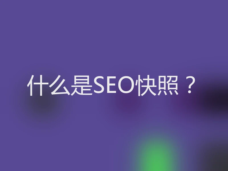 什么是SEO快照？