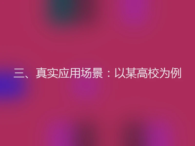 三、真实应用场景：以某高校为例