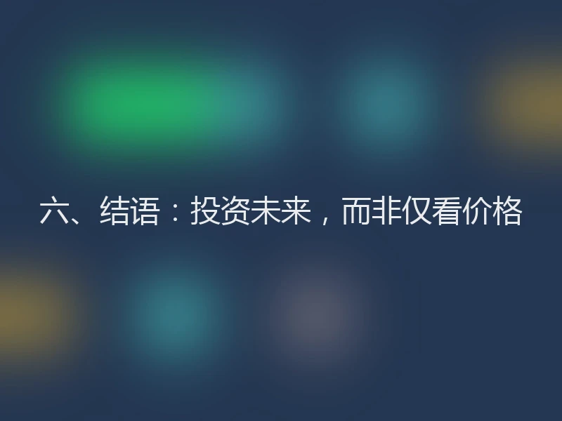六、结语：投资未来，而非仅看价格