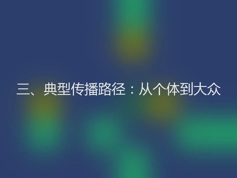三、典型传播路径：从个体到大众