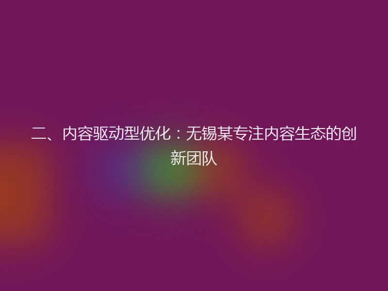 二、内容驱动型优化：无锡某专注内容生态的创新团队