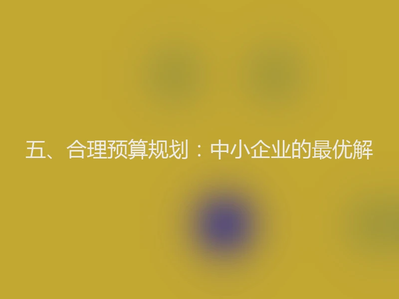 五、合理预算规划：中小企业的最优解