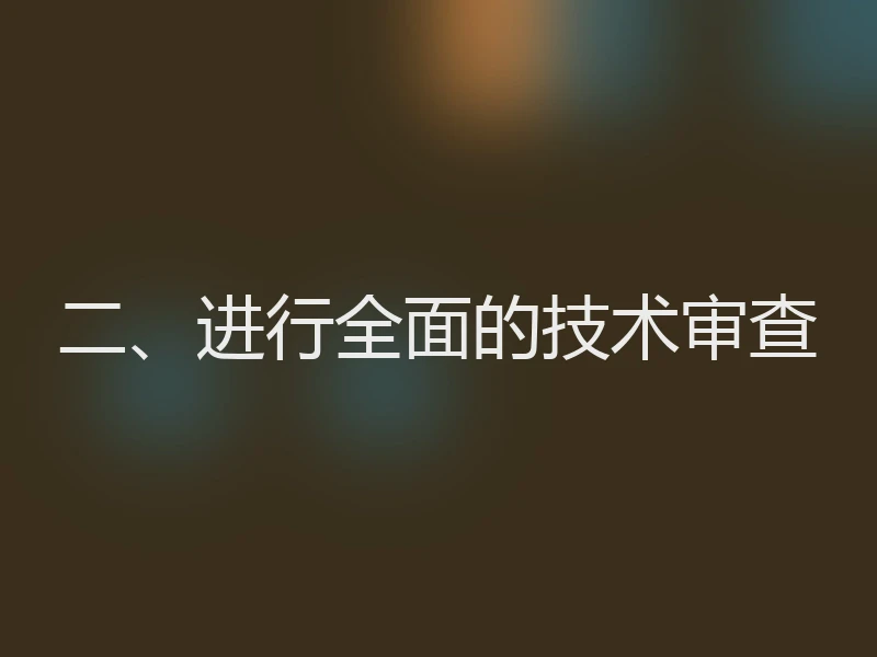 二、进行全面的技术审查