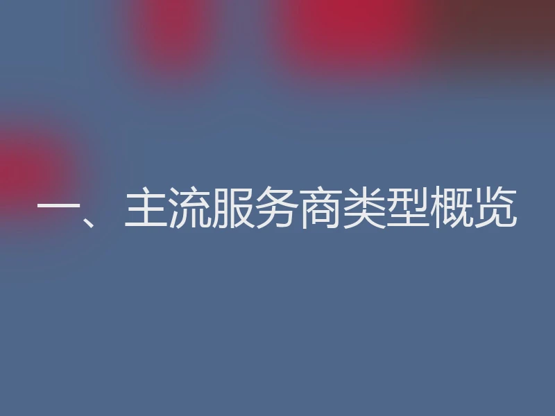 一、主流服务商类型概览