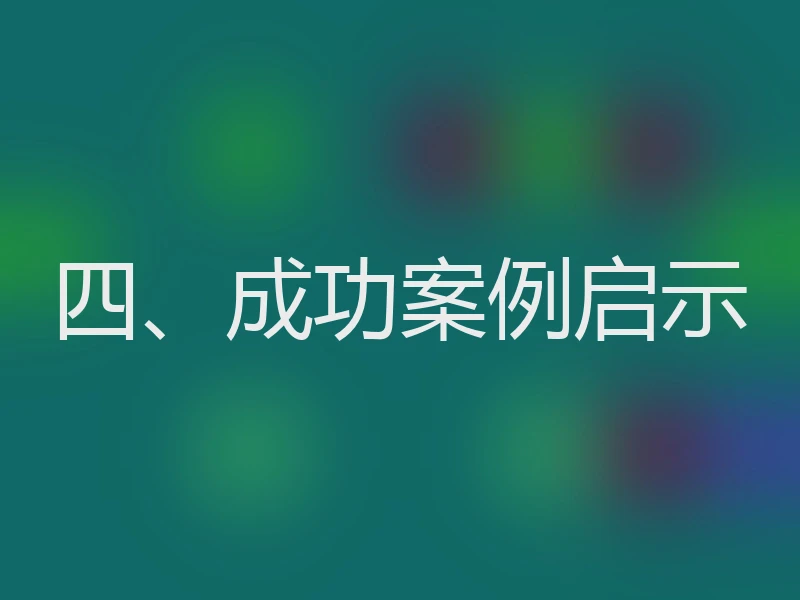 四、成功案例启示
