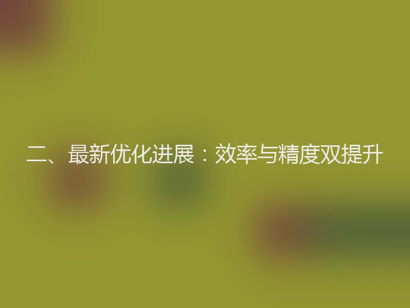 二、最新优化进展：效率与精度双提升