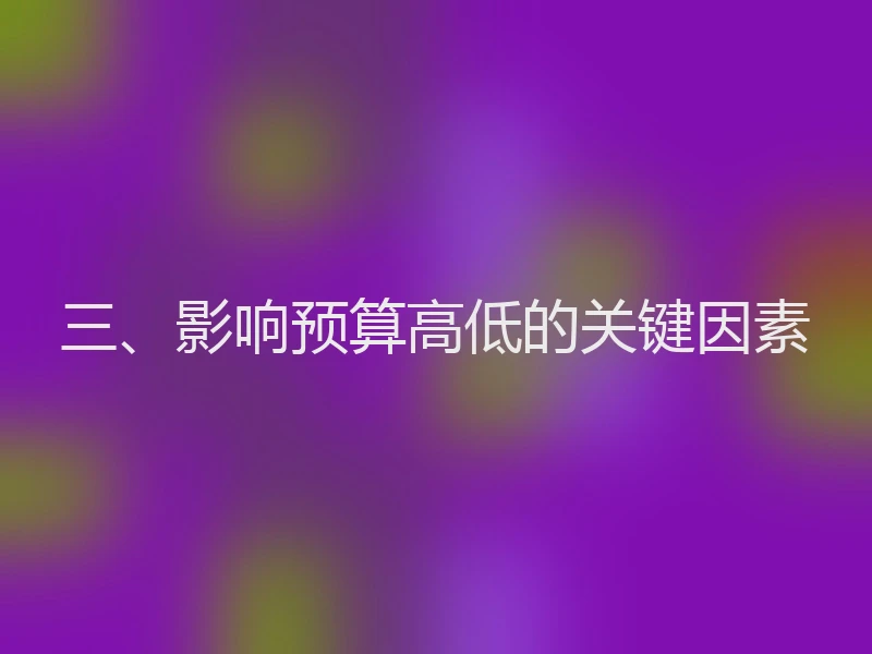 三、影响预算高低的关键因素