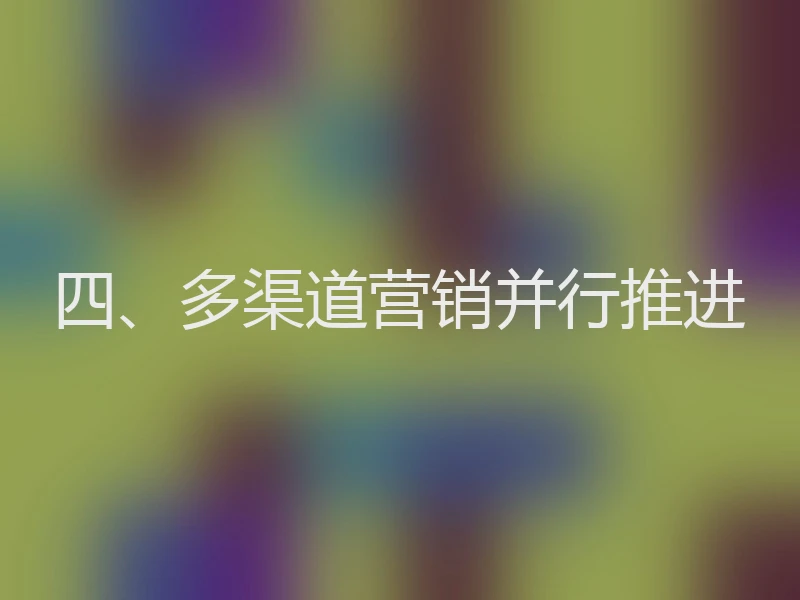 四、多渠道营销并行推进