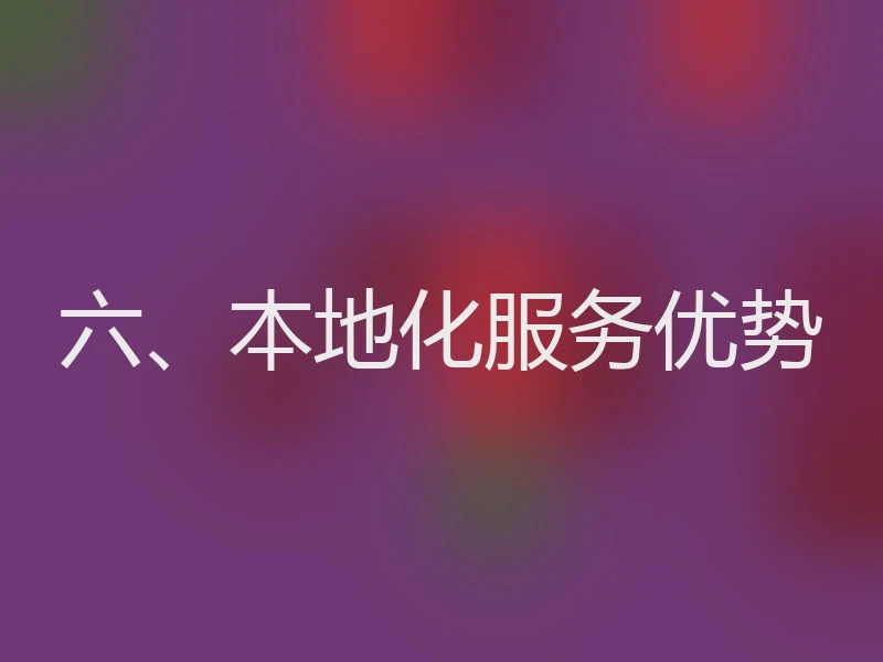 六、本地化服务优势