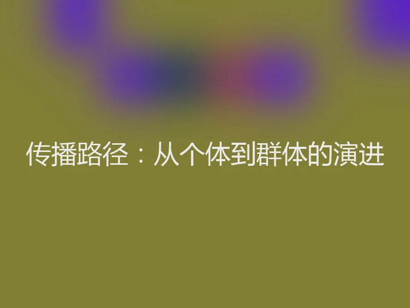 传播路径：从个体到群体的演进