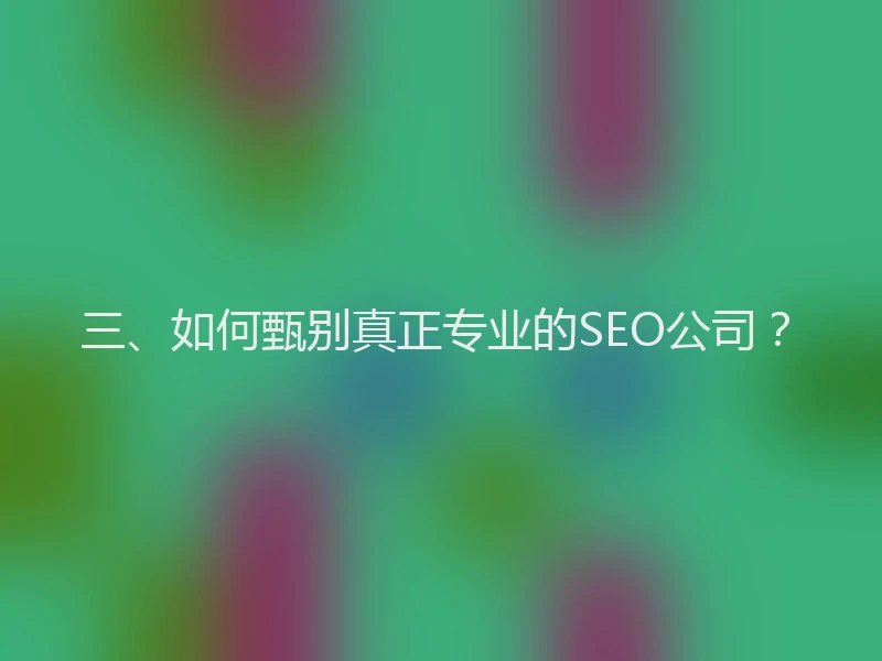 三、如何甄别真正专业的SEO公司？