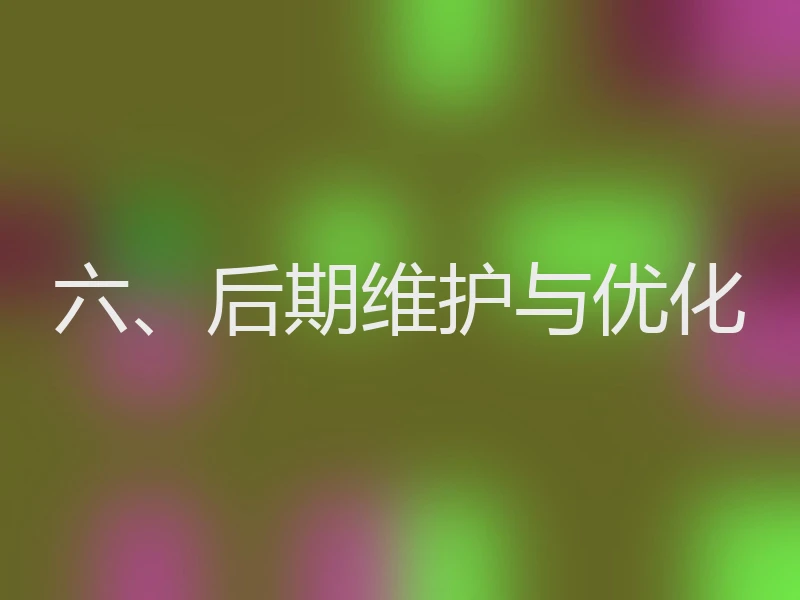 六、后期维护与优化
