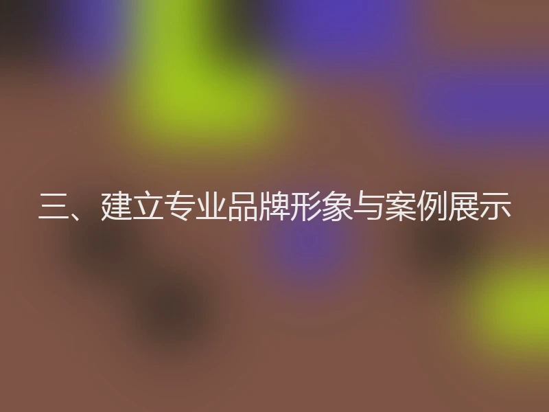 三、建立专业品牌形象与案例展示