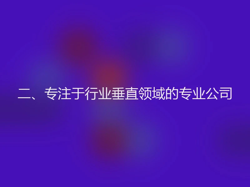 二、专注于行业垂直领域的专业公司