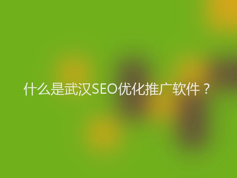 什么是武汉SEO优化推广软件？