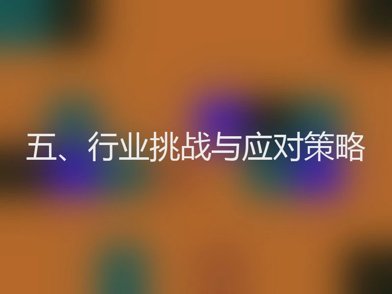 五、行业挑战与应对策略