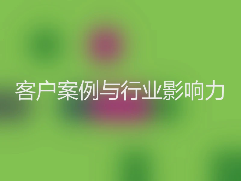客户案例与行业影响力