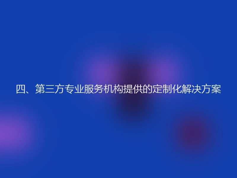 四、第三方专业服务机构提供的定制化解决方案