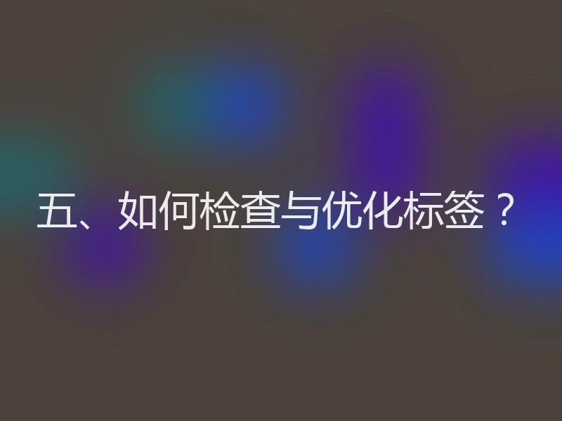 五、如何检查与优化标签?