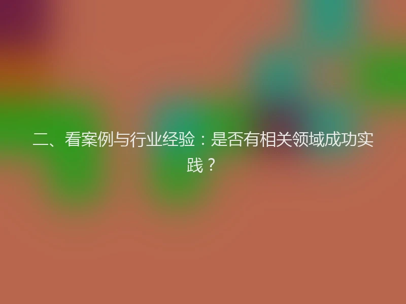 二、看案例与行业经验：是否有相关领域成功实践？