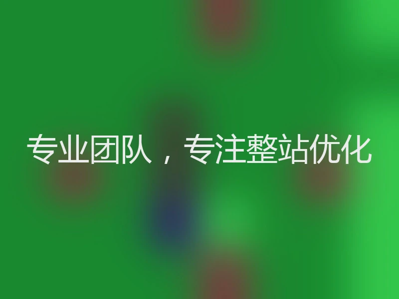 专业团队，专注整站优化