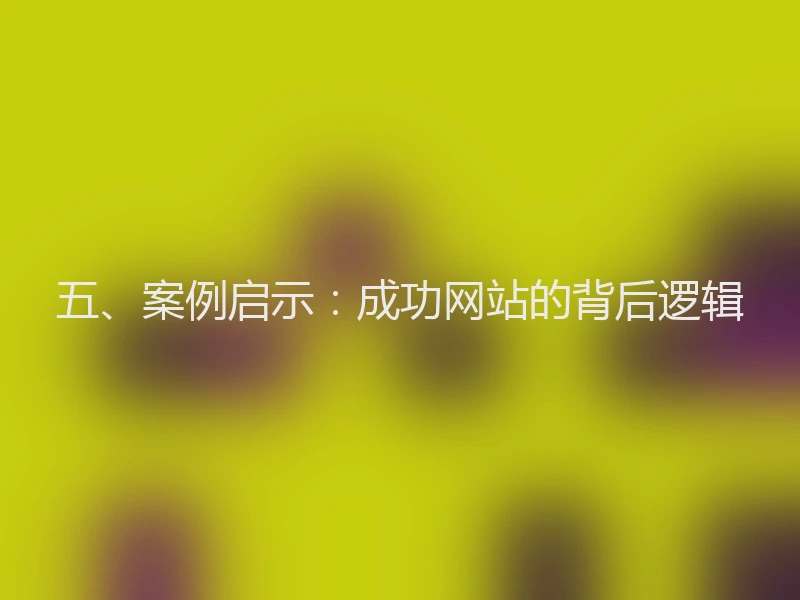 五、案例启示：成功网站的背后逻辑