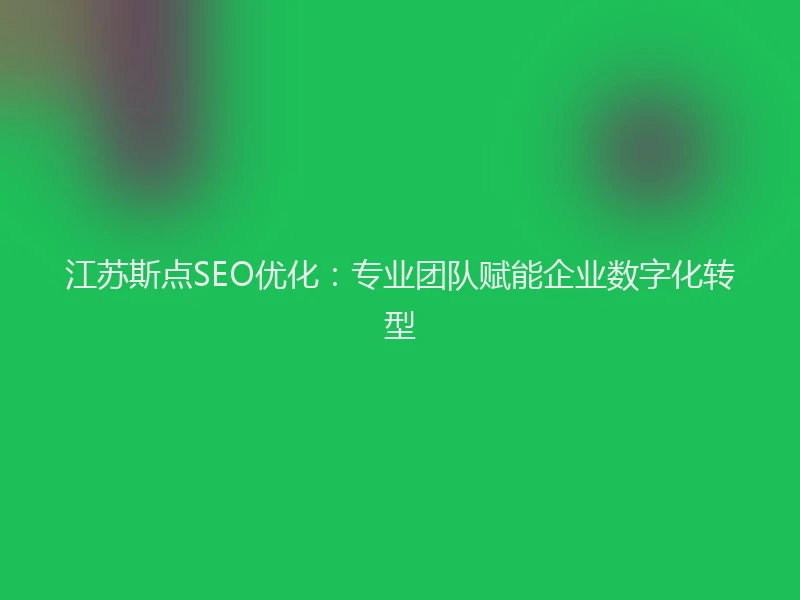 江苏斯点SEO优化：专业团队赋能企业数字化转型