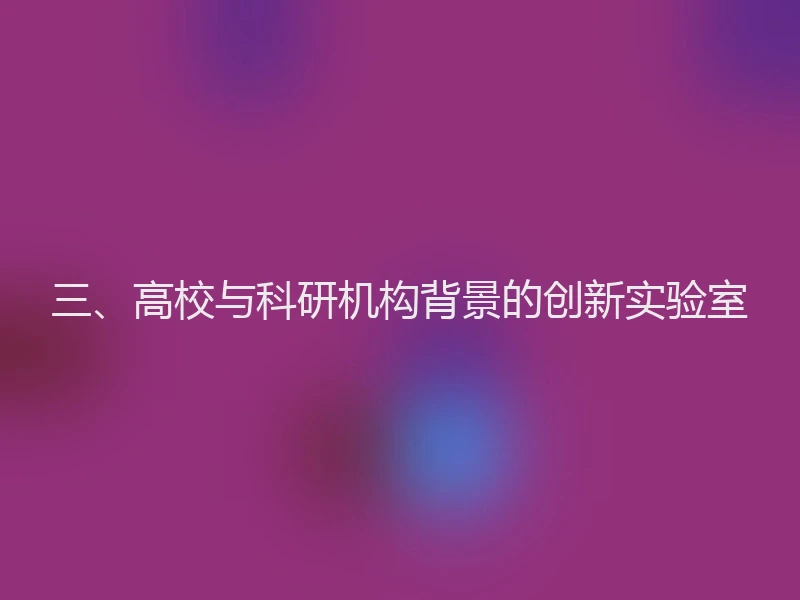 三、高校与科研机构背景的创新实验室