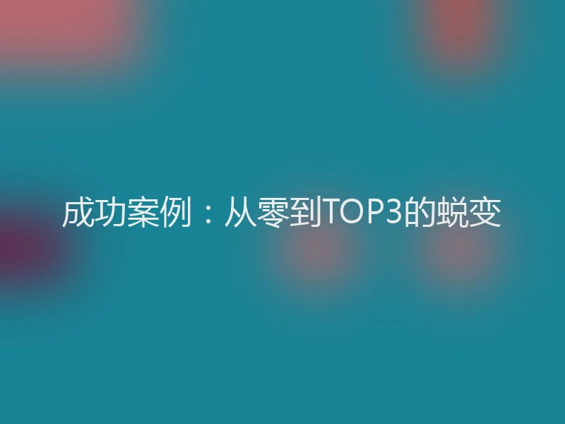 成功案例：从零到TOP3的蜕变