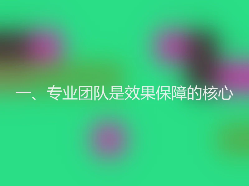 一、专业团队是效果保障的核心