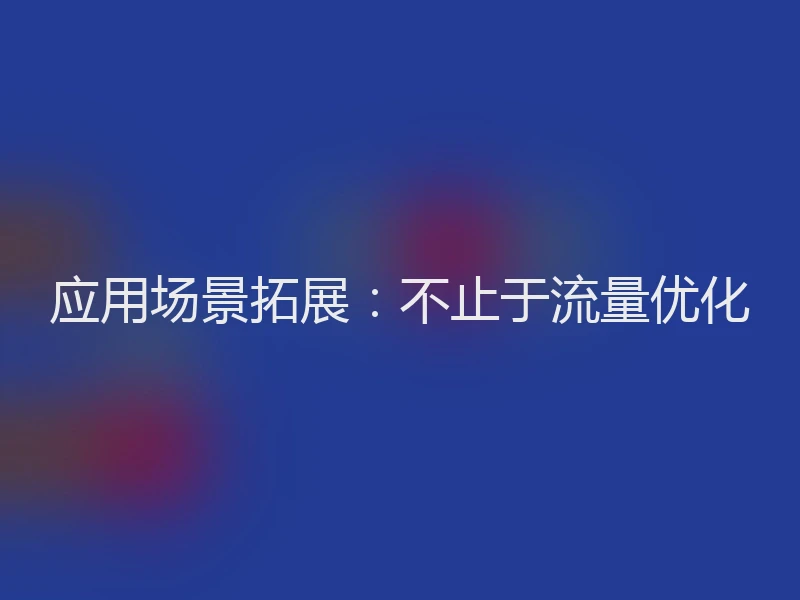 应用场景拓展：不止于流量优化