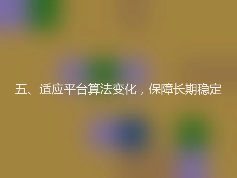 五、适应平台算法变化，保障长期稳定