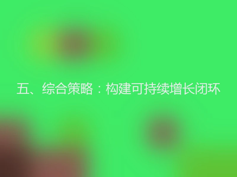 五、综合策略：构建可持续增长闭环