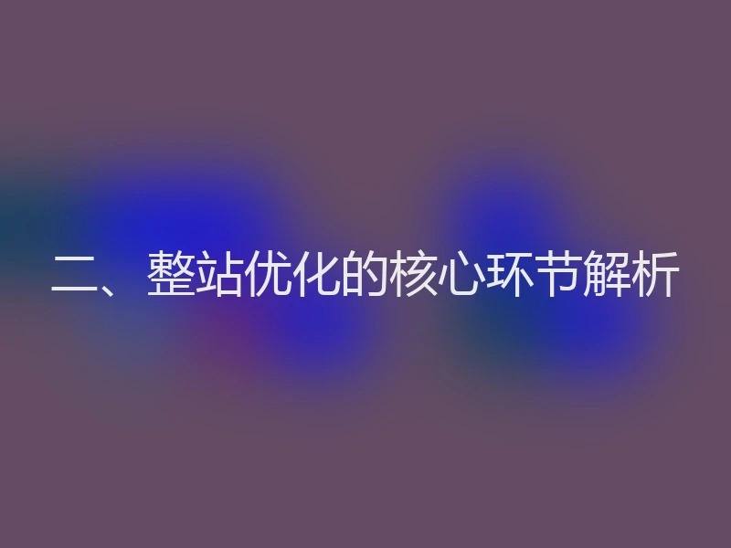 二、整站优化的核心环节解析