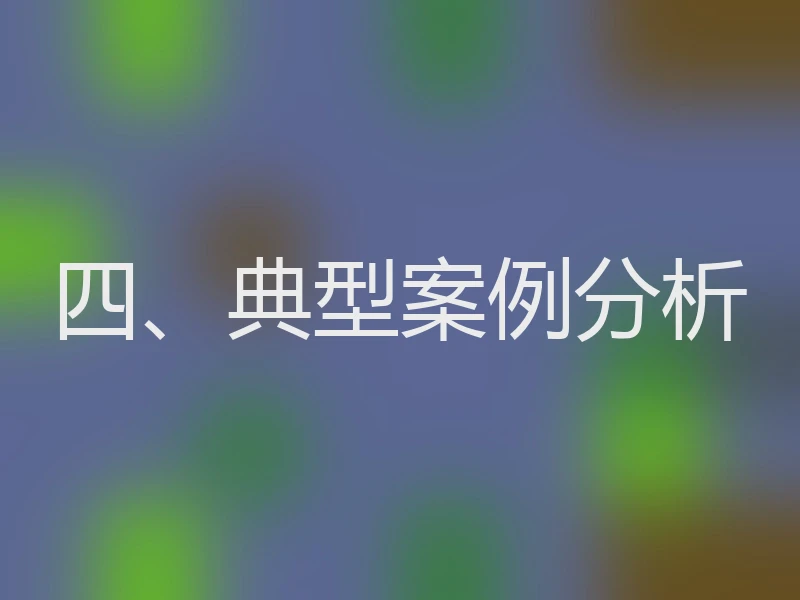 四、典型案例分析