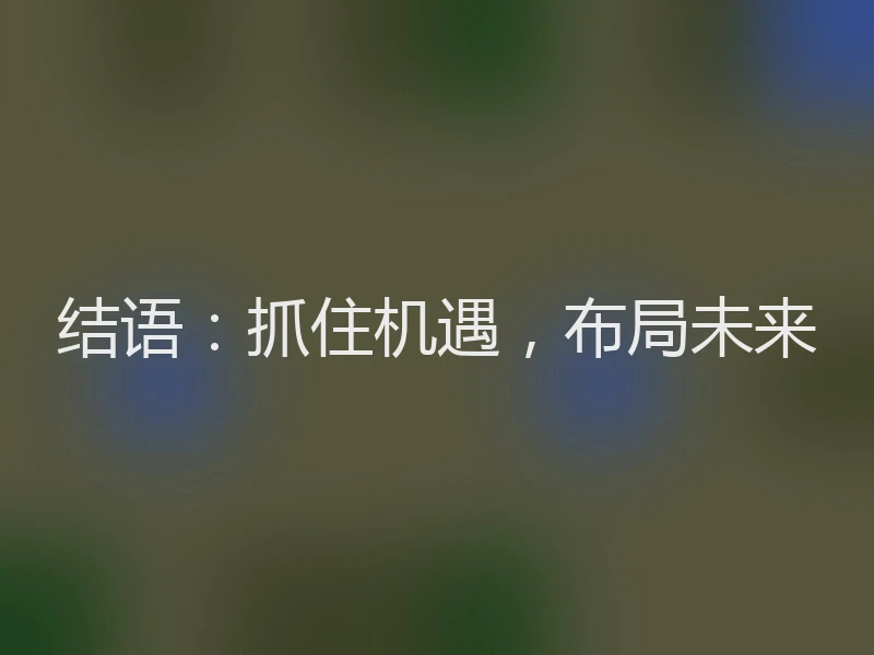 结语：抓住机遇，布局未来