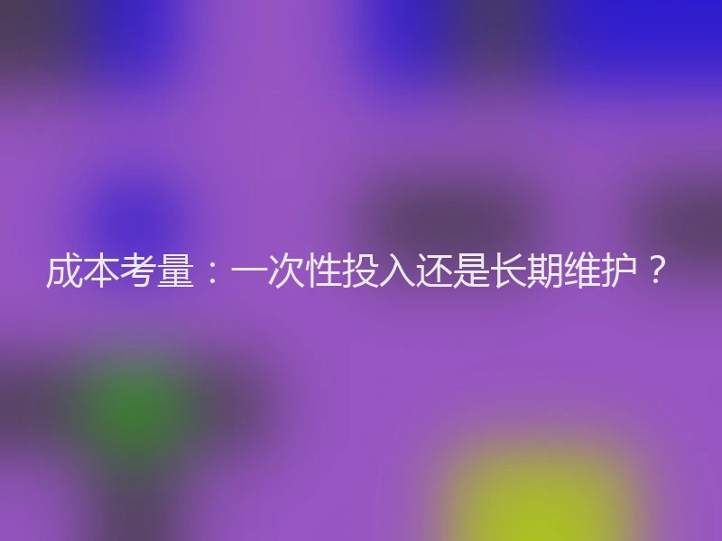 成本考量：一次性投入还是长期维护？