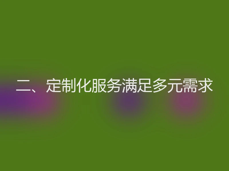 二、定制化服务满足多元需求