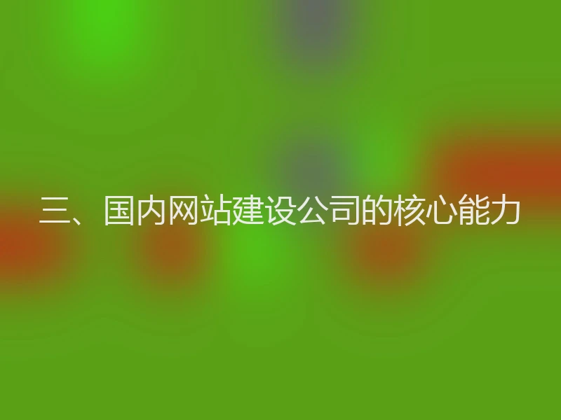 三、国内网站建设公司的核心能力