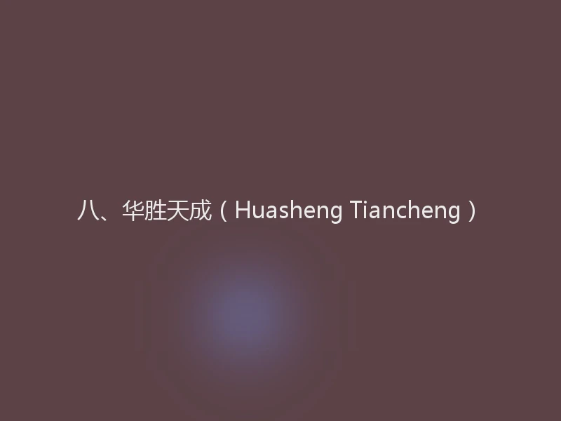 八、华胜天成(Huasheng Tiancheng)
