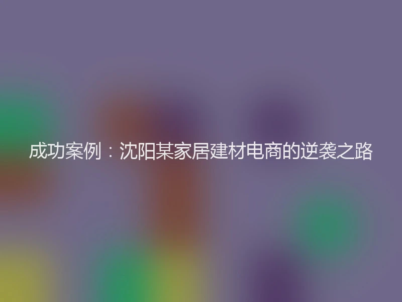 成功案例：沈阳某家居建材电商的逆袭之路