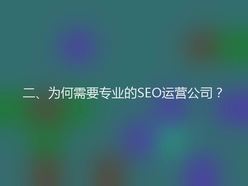 二、为何需要专业的SEO运营公司？
