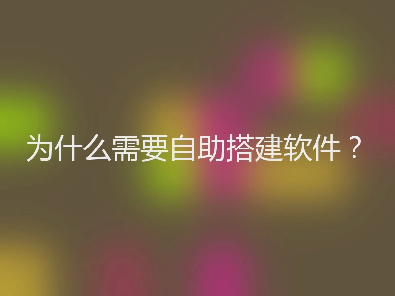 为什么需要自助搭建软件?