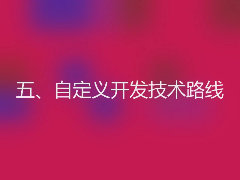 五、自定义开发技术路线