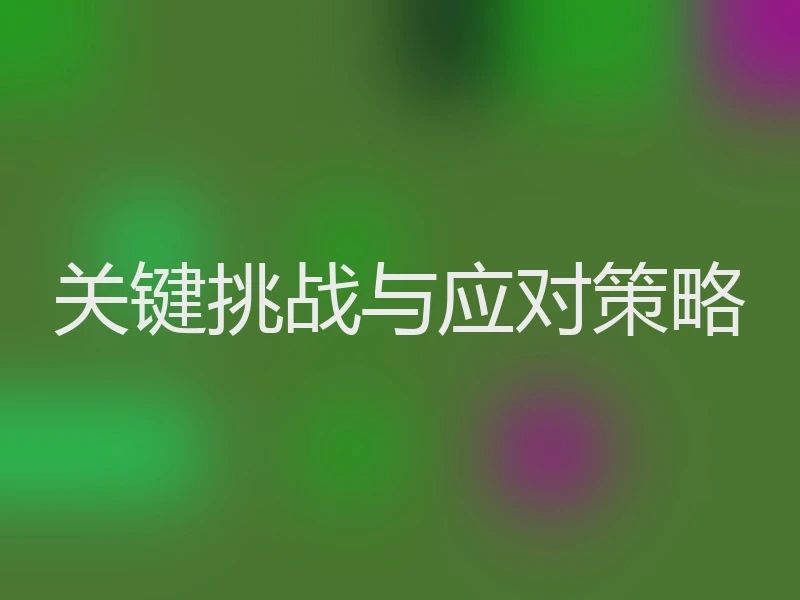 关键挑战与应对策略