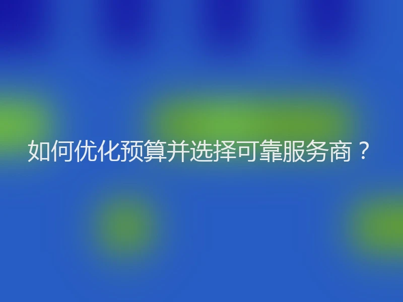 如何优化预算并选择可靠服务商？
