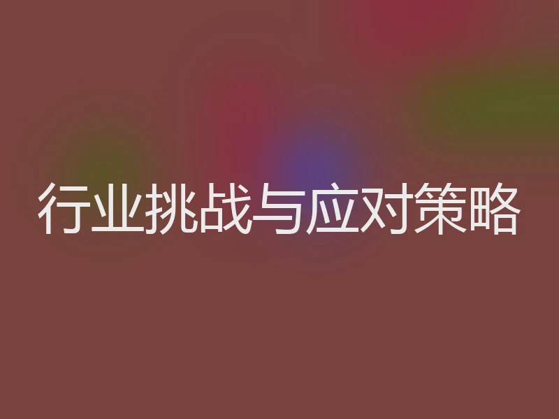 行业挑战与应对策略