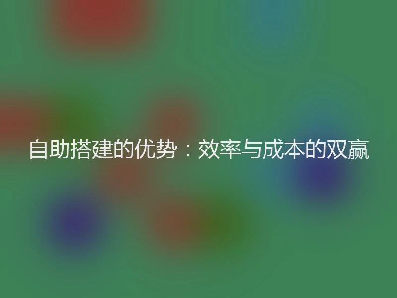自助搭建的优势：效率与成本的双赢